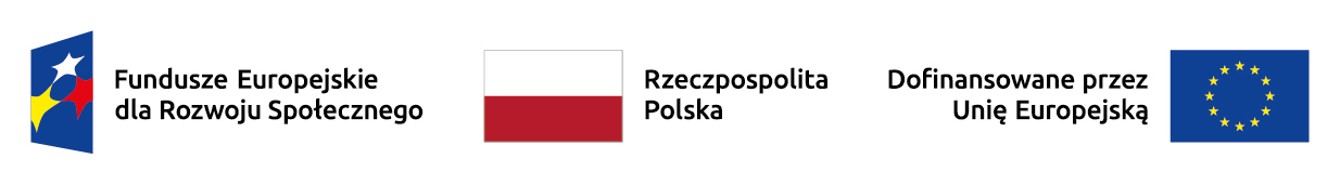 Fundusze Europejskie dla Rozwoju Społecznego, Rzeczpospolita Polska, Dofinansowane przez Unię Europejską – informacja o dofinansowaniu